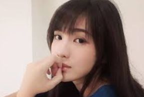 精选归档套件